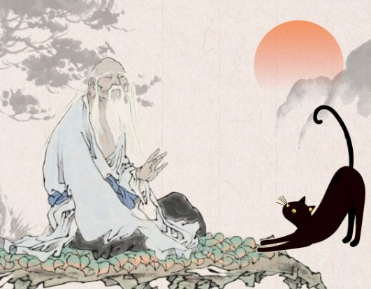 专注管理类联考24年